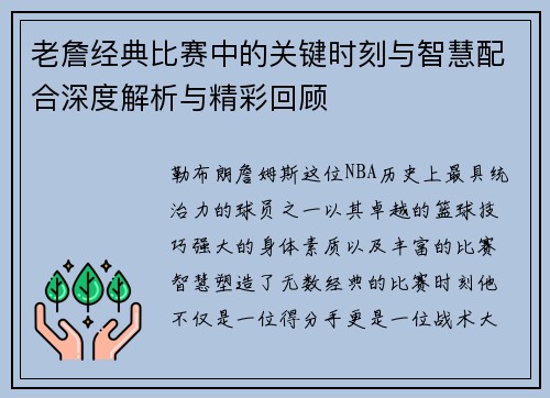老詹经典比赛中的关键时刻与智慧配合深度解析与精彩回顾