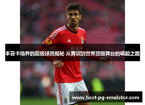 本菲卡培养的超级球员揭秘 从青训到世界顶级舞台的崛起之路