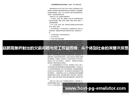 赵鹏现象折射出的欠薪问题与劳工权益困境：从个体到社会的深层次反思