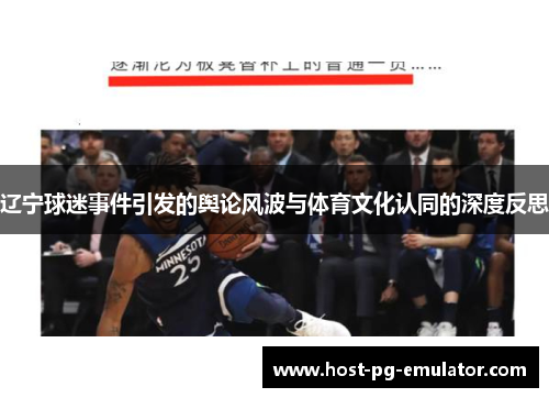辽宁球迷事件引发的舆论风波与体育文化认同的深度反思