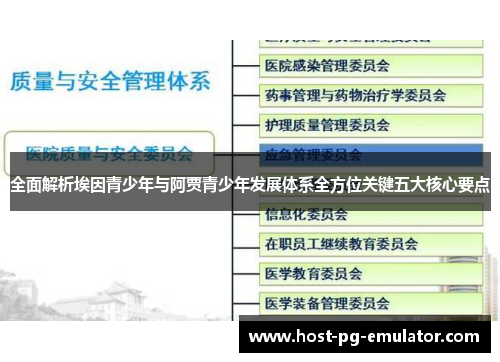 全面解析埃因青少年与阿贾青少年发展体系全方位关键五大核心要点 全面解析埃因青少年与阿贾青少年发展体系全方位关键五大核心要点